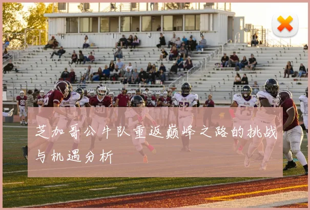 芝加哥公牛队重返巅峰之路的挑战与机遇分析