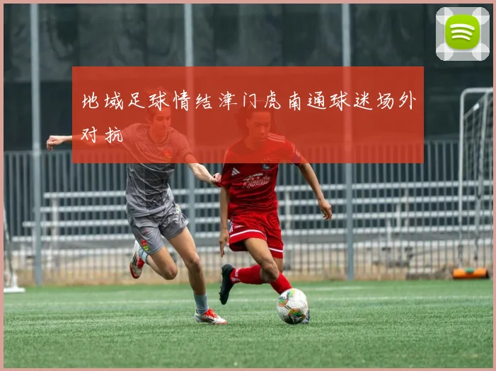 地域足球情结津门虎南通球迷场外对抗