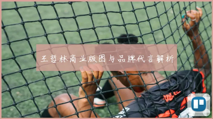 王哲林商业版图与品牌代言解析