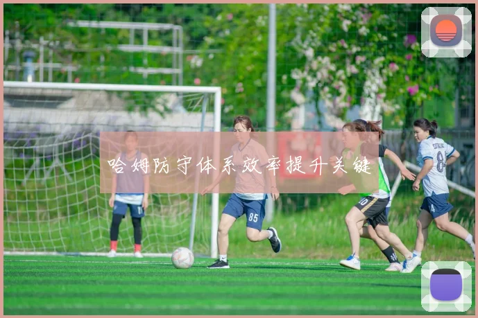 哈姆防守体系效率提升关键