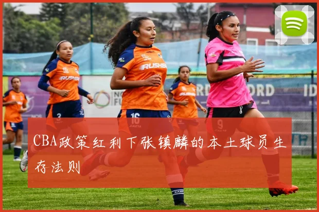 CBA政策红利下张镇麟的本土球员生存法则