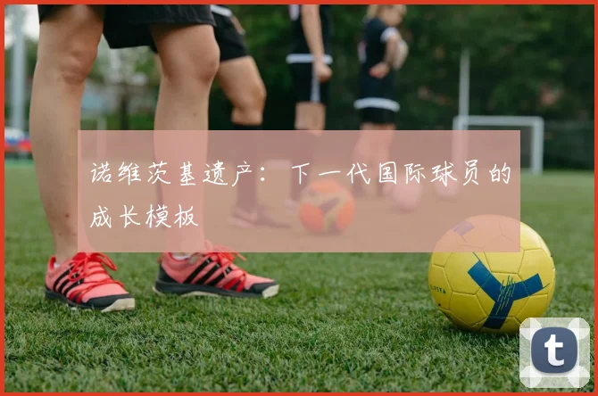 诺维茨基遗产：下一代国际球员的成长模板