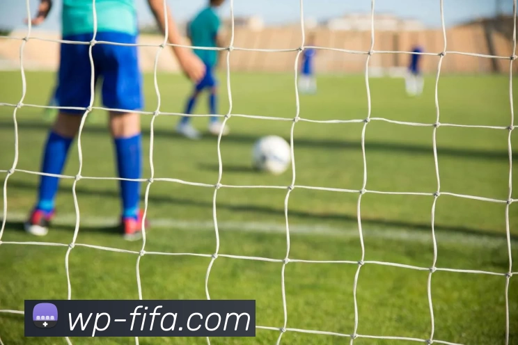 世界杯FIFA服务体系